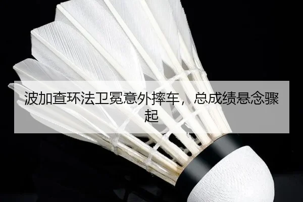 bo-jia-cha-huan-fa-wei-mian-yi-wai-shuai-che-zong-cheng-ji-xuan-nian-zhou-qi-3-486.jpg